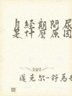 月经期间尿出血是什么原因