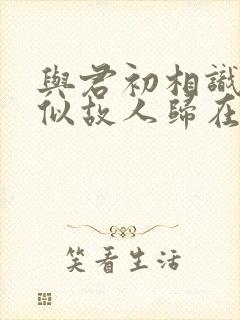 与君初相识,恰似故人归在线观看