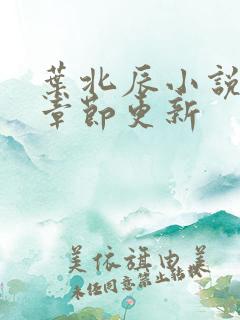 叶北辰小说最新章节更新