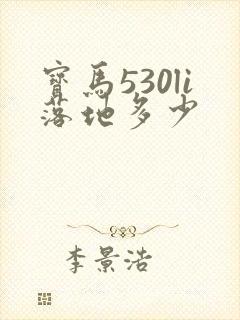 宝马530li落地多少