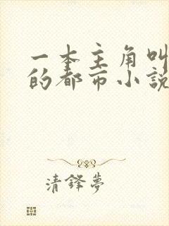 一本主角叫林天的都市小说