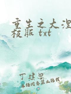 重生之大涅磐精校版 txt