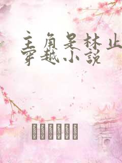 主角是林止陌的穿越小说