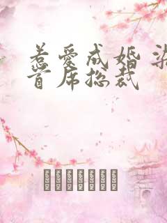 惹爱成婚 染指首席总裁