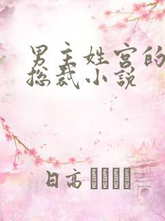 男主姓宫的现代总裁小说