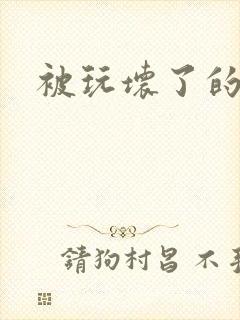 被玩坏了的小说