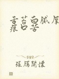 舌苔白腻厚有齿痕口苦