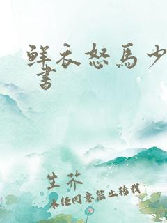 鲜衣怒马少年时 书