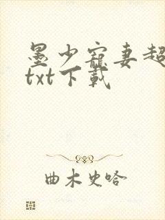 墨少宠妻超高调txt下载