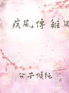疾风传 雏田