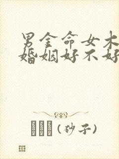 男金命女木命的婚姻好不好