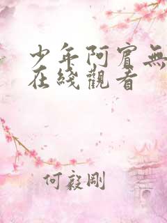 少年阿宾无删减在线观看