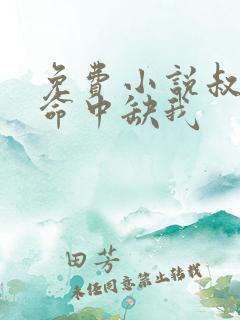 免费小说叔,你命中缺我