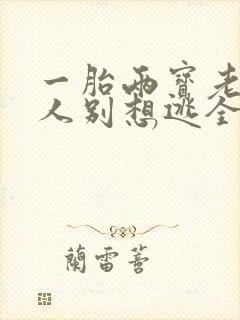 一胎两宝老婆大人别想逃全文阅读