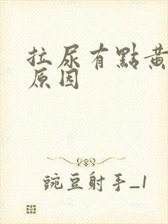 拉尿有点黄什么原因