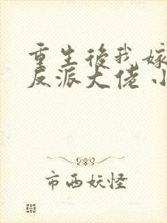 重生后我嫁给了反派大佬 小说