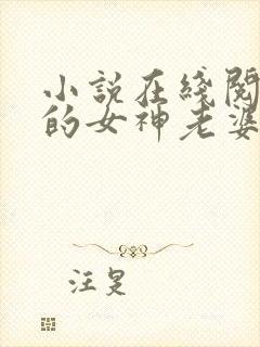 小说在线阅读我的女神老婆