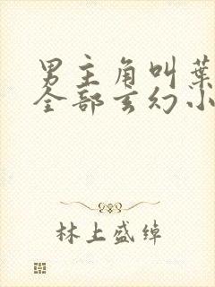 男主角叫叶天的全部玄幻小说