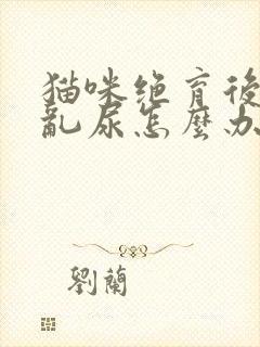 猫咪绝育后还是乱尿怎么办