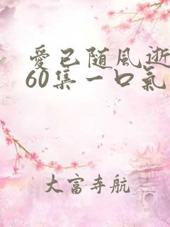 爱已随风逝短剧60集一口气看完