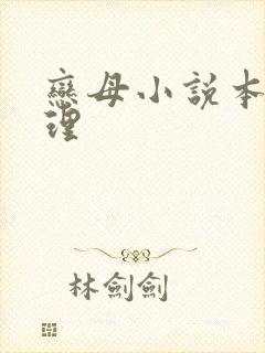 恋母小说本人整理