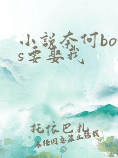 小说奈何boss要娶我