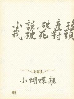 小说,破产后,我被死对头宠上天