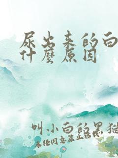 尿出来的白的是什么原因