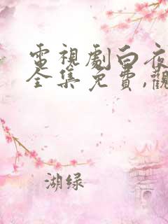 电视剧白夜追凶全集免费,观看