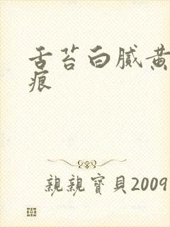 舌苔白腻黄有齿痕