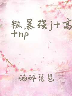 粗暴强j+高h+np