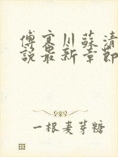 傅寒川苏清窈小说最新章节免费阅读