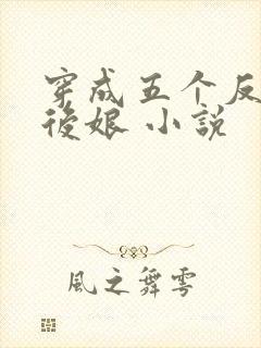 穿成五个反派的后娘 小说
