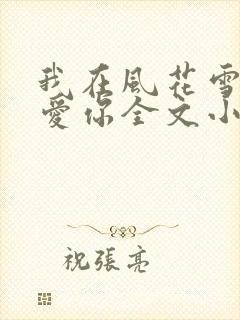 我在风花雪月里爱你全文小说