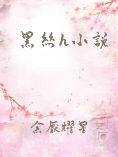 黑丝h小说