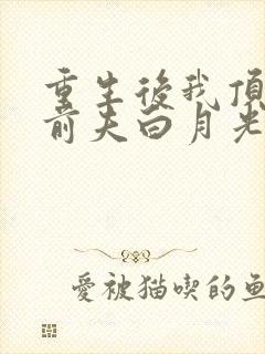 重生后我顶替了前夫白月光完本