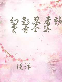 幻影忍者动漫免费看全集