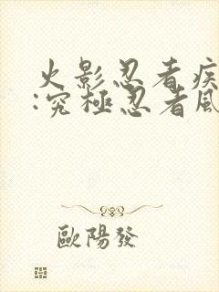 火影忍者疾风传:究极忍者风暴