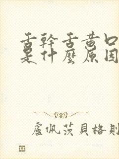 舌干舌黄口又臭是什么原因