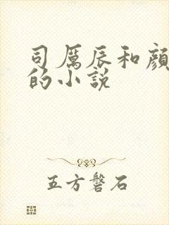 司厉辰和颜辞兮的小说