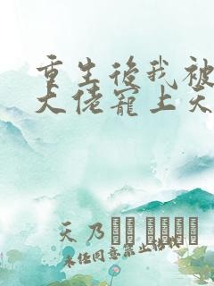 重生后我被五个大佬宠上天