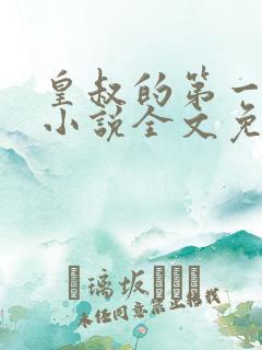 皇叔的第一宠妃小说全文免费阅读