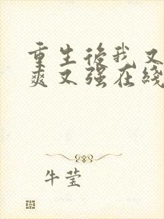 重生后我又飒又爽又强在线播放