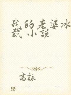 我的老婆冰山总裁 小说