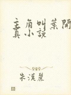 主角叫叶开的修真小说