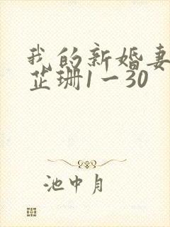 我的新婚妻子李芷珊1一30