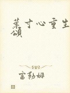 叶寸心重生欢乐颂