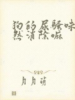 狗的尿骚味会自然消除嘛