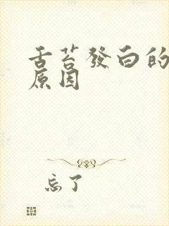 舌苔发白的主要原因