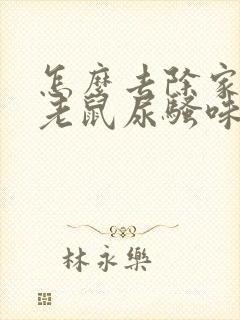 怎么去除家里的老鼠尿骚味